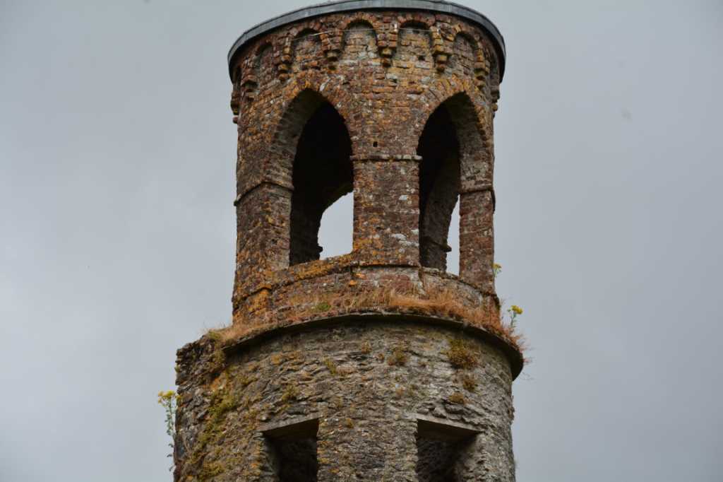 DSC_4523Mittel_.JPG